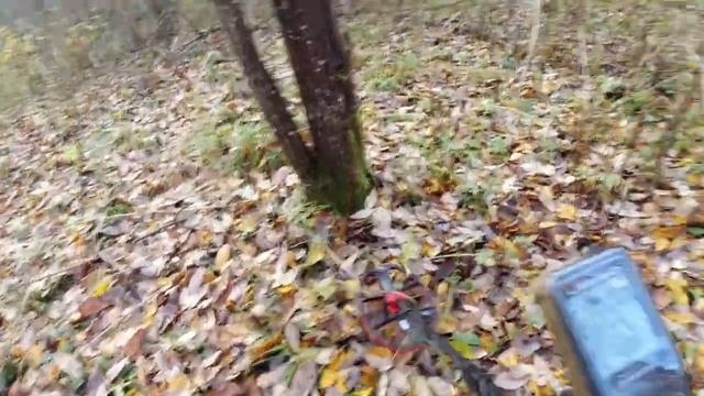 Поиск клада с металлоискателем NOKTA LEGEND. Часть 5 Лес.... #коп_монет #коп