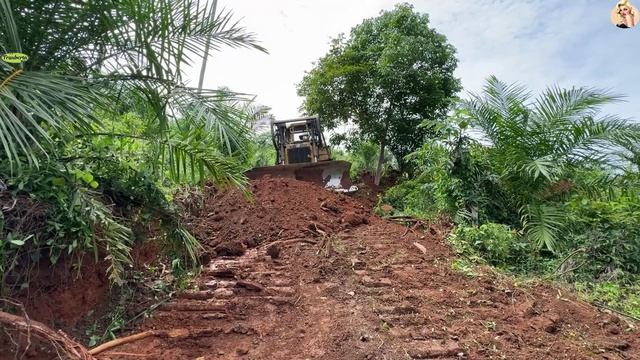 Строительство, расчистка на лесной дороге смотреть онлайн