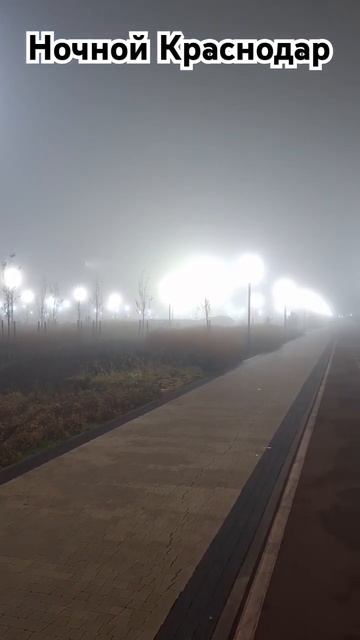Ночной Краснодар 2024 декабрь смотреть онлайн