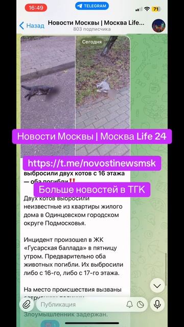 ТГК Новости Москвы | Москва Life 24 смотреть онлайн