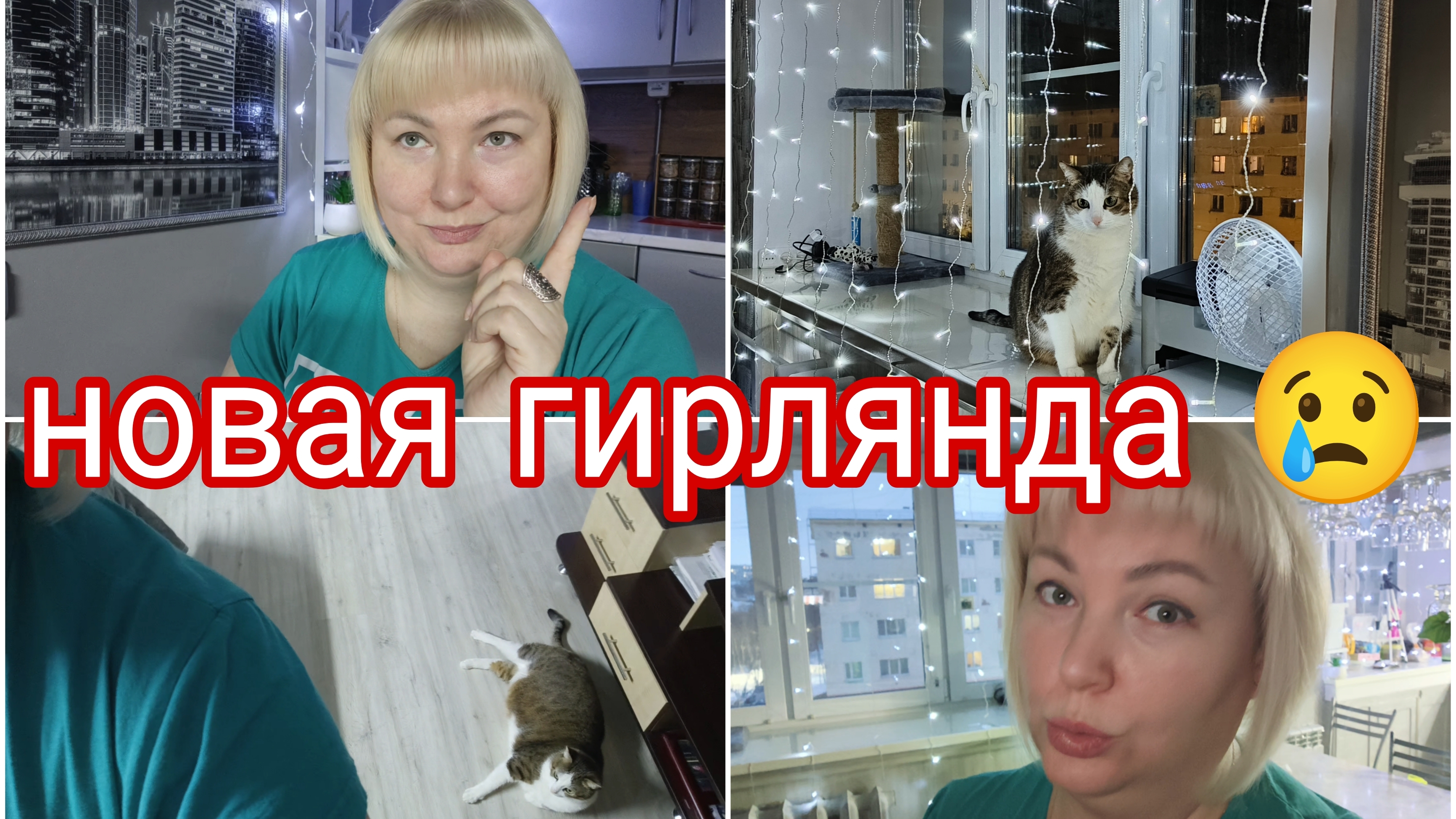 15-12-2025 Барсик сломал новую гирлянду * Свитер от Ашота * Это общая информация, не для догадок смотреть онлайн