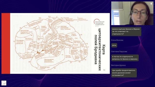 Дисциплина 2 Психофизиология и анатомия ЦНС поток - Комиссар А.Б (13.12.2025) смотреть онлайн