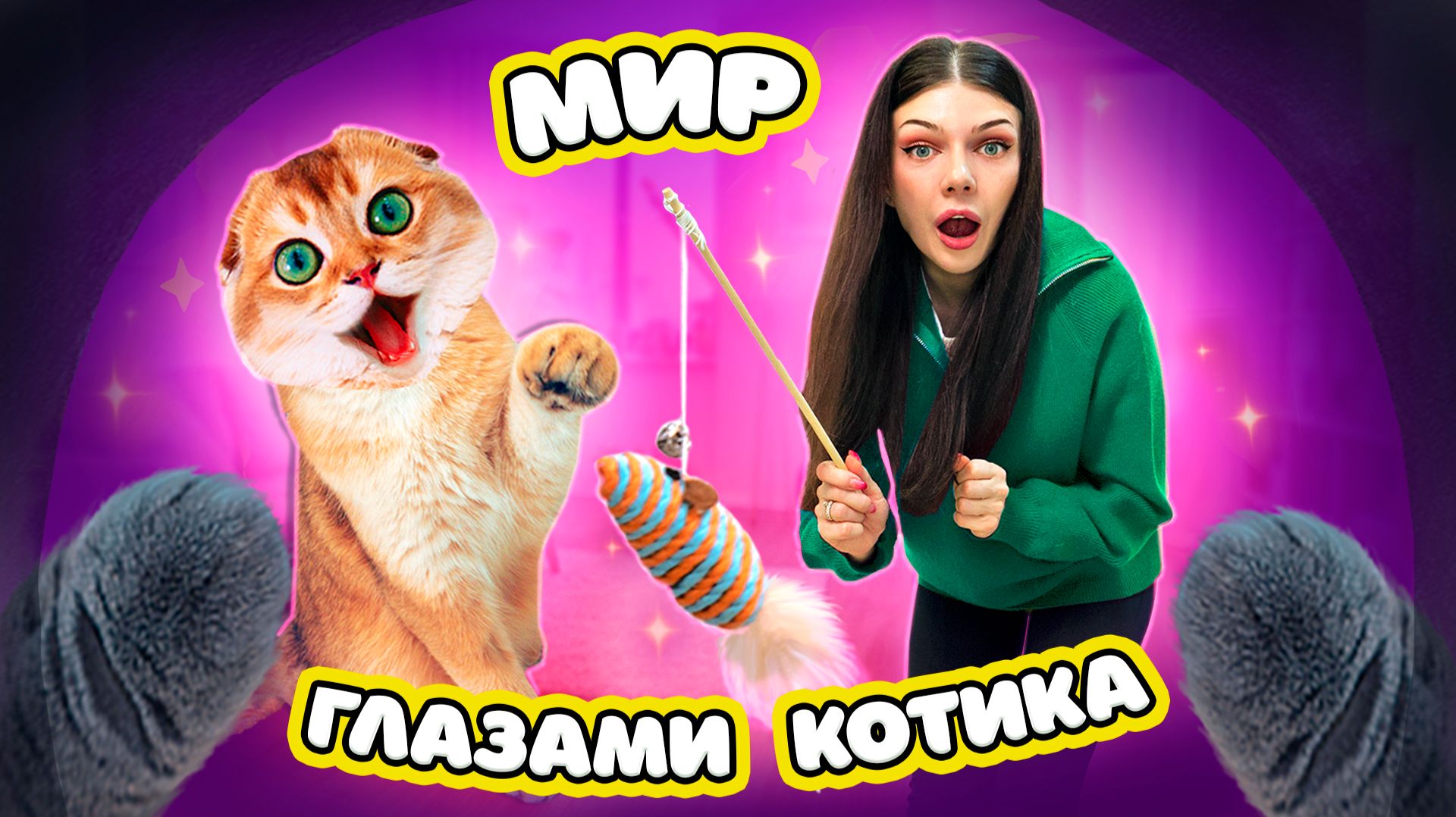 МИР ГЛАЗАМИ КОШЕЧКИ БАТТЕРС | МИР ГЛАЗАМИ КОТИКА смотреть онлайн