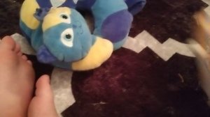 кот🐈 и собака🐕