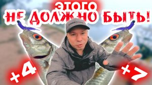 БЕЗУМИЕ! Ловлю "ЛЕТНЮЮ" Рыбу ЗИМОЙ! Спиннинг Favorite Black Swan 602N-S Nano 1.83m 0-1g #мормышинг