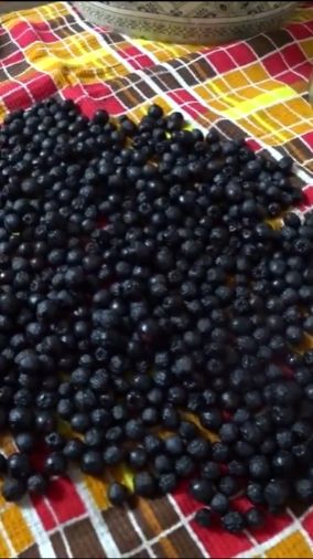 Замороженная черноплодка очень вкусная смотреть онлайн