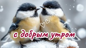 Пожелание доброго зимнего утра и дня — музыкальное видео
