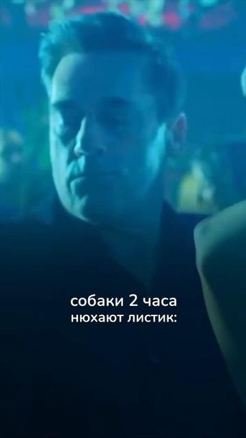 Уставшая я выхожу с собаками 🐶 смотреть онлайн