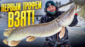 Первый лёд на реке и сразу трофей! Ловим хищника на Оби, незабываемая рыбалка!