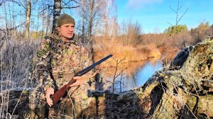 РАЗВЕДКА НОВЫХ МЕСТ, ПРИНЕСЛА РЕЗУЛЬТАТ. ОХОТА НА БОБРА С ПОДХОДА С КАРАБИНОМ ЛОСЬ-308.