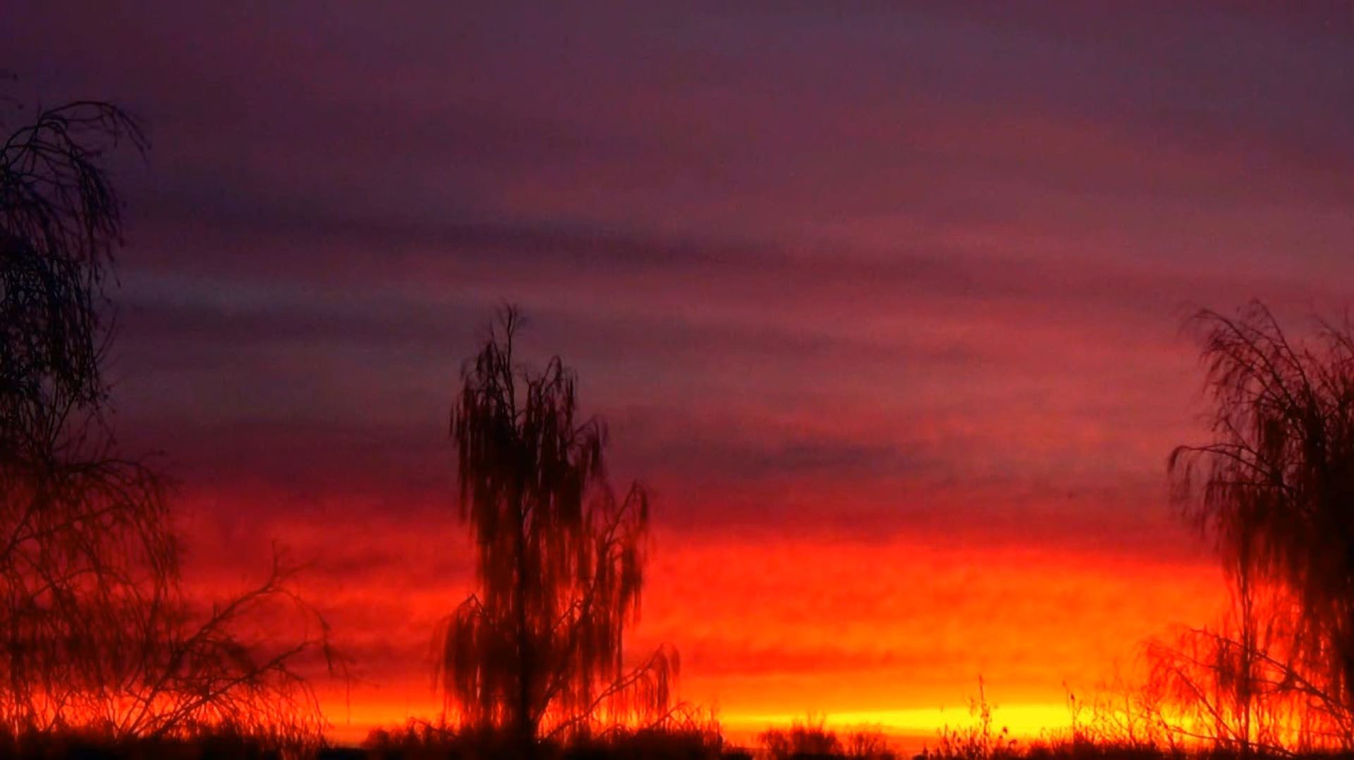 Алый рассвет перед снежным фронтом над городом Вязники 16.12.2025 смотреть онлайн