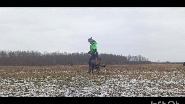  смотреть онлайн