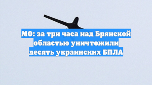 МО: за три часа над Брянской областью уничтожили десять украинских БПЛА