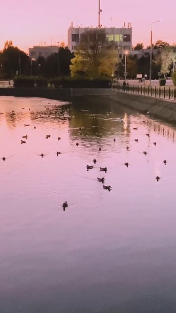 22 сентября 2024 г. смотреть онлайн