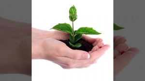 Современная система торговли людьми