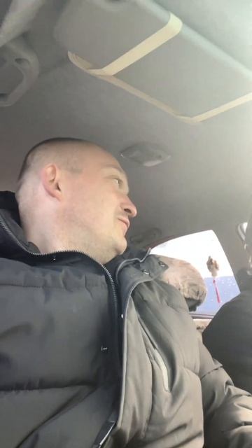 С работы домой смотреть онлайн