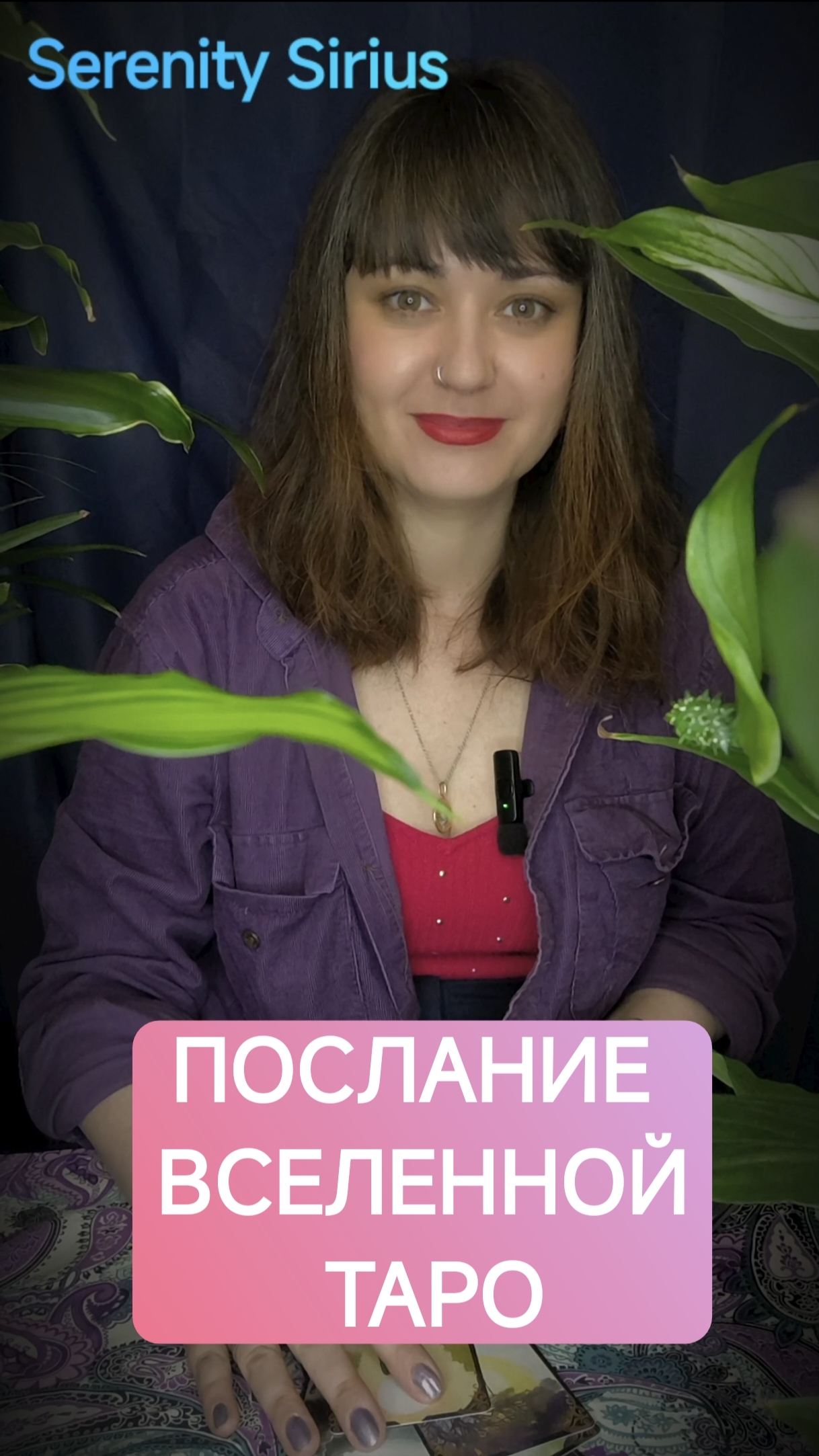 ПОСЛАНИЕ ВСЕЛЕННОЙ ТАРО РАСКЛАД НА БУДУЩЕЕ СОВЕТЫ ВЫСШИХ СИЛ смотреть онлайн