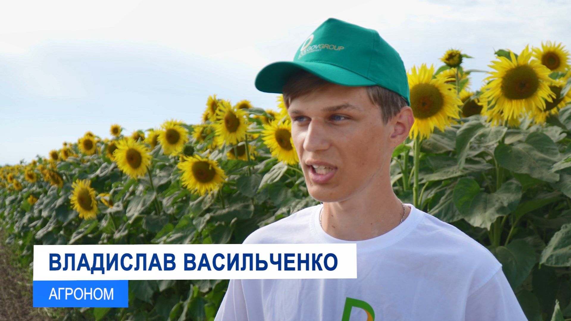 Долгов групп смотреть онлайн