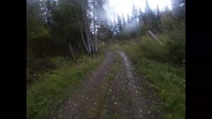 МЕТКИЙ ВЫСТРЕЛ  // Часть # 2 // Наткнулись на медведя