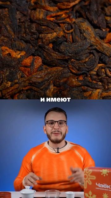 Почему пуэр выдерживает десят проливов смотреть онлайн