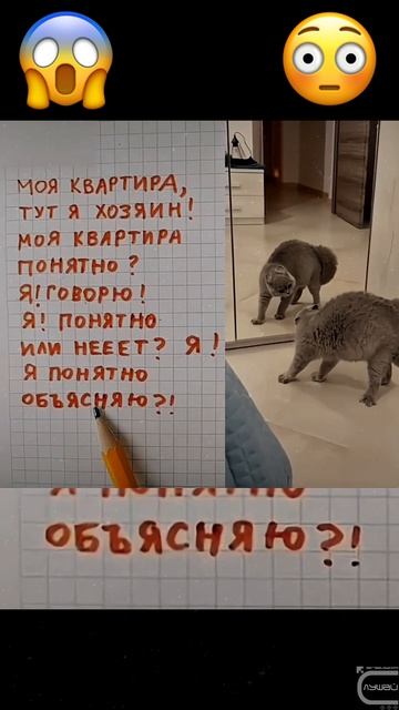 🔥 Вызывайте Экзорциста 🔥 смотреть онлайн
