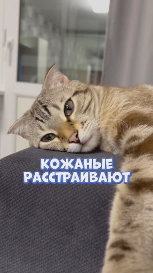 Итоги года )))