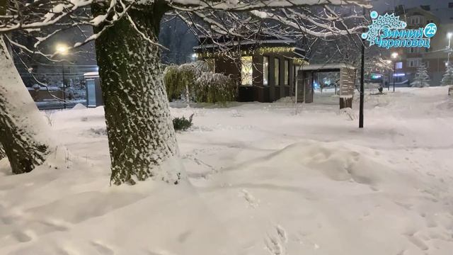 Краева Ирина-Новогодний Череповец смотреть онлайн