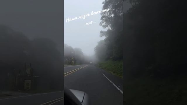 Движ смотреть онлайн