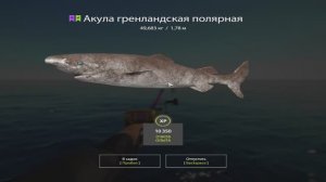 Русская Рыбалка 4. Норвежское море. 55-ая банка