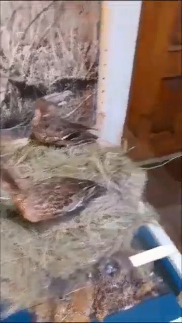 Рыбинский музей-заповедник♂️ смотреть онлайн