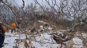 Комбинированный поход день/ночь