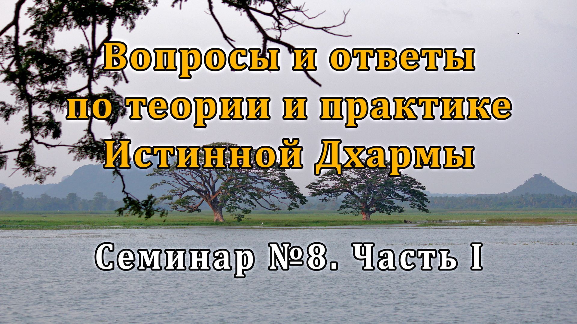 Вопросы и ответы по теории и практике Истинной Дхармы. Семинар №8. Часть I смотреть онлайн