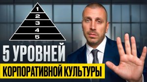 5 уровней корпоративной культуры в компании: как над ней работать?