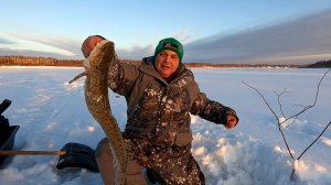 Пришёл мороз, налим гуляет / Рыбалка на налима в морозный день / Трудовая рыбалка на налима