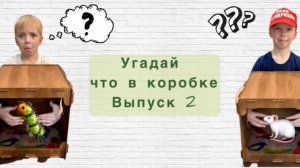 Угадай что в коробке! Выпуск 2