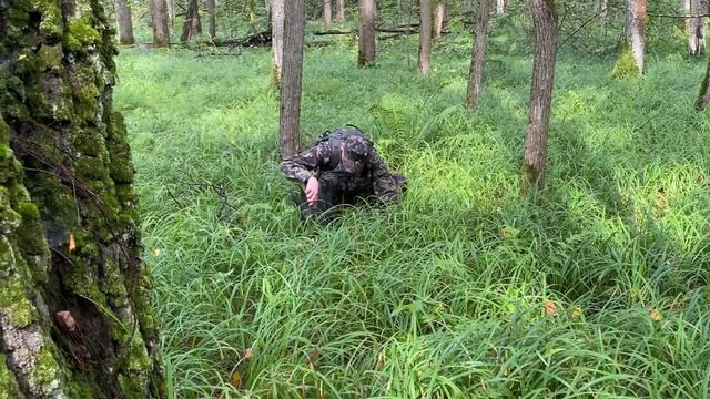 В лес по грибы смотреть онлайн