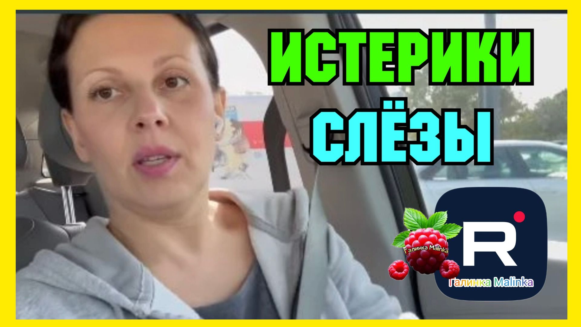 Big Big Family In The USA _Истерика _Слезы _Обзор _Биг Биг Фэмэли _Funny 4 _Лиса в Америке