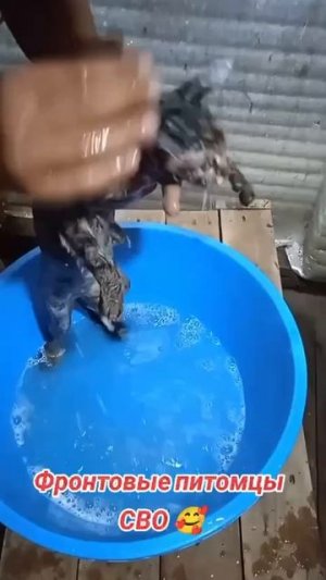СВО👉ЖМИ (КАДРЫ 21+)👈