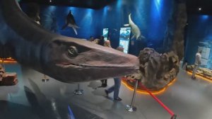 Владивосток 2025  3 серия