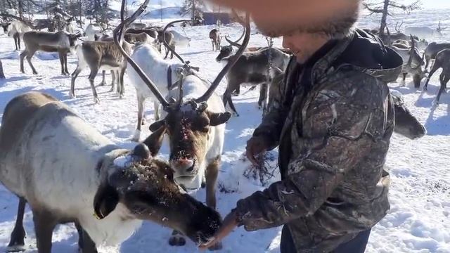 Video_20251212181111290_by_VideoMaker.mp4