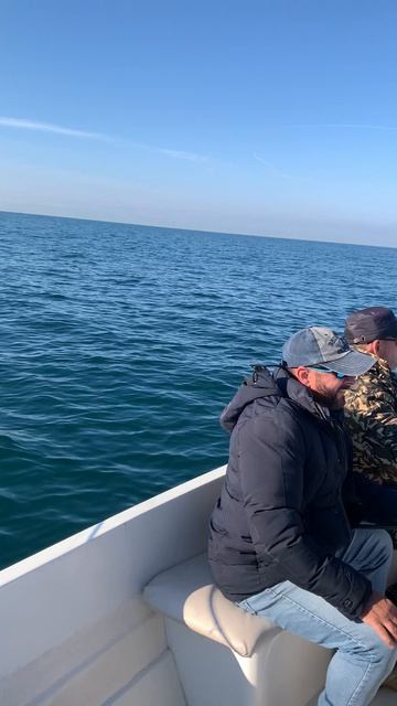 Ловим спикару в Сириусе. смотреть онлайн