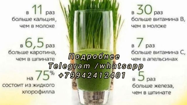 Success Together. Очищение на живом питании