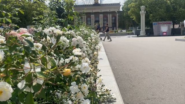 ВДНХ- Москва 2023 июня. смотреть онлайн