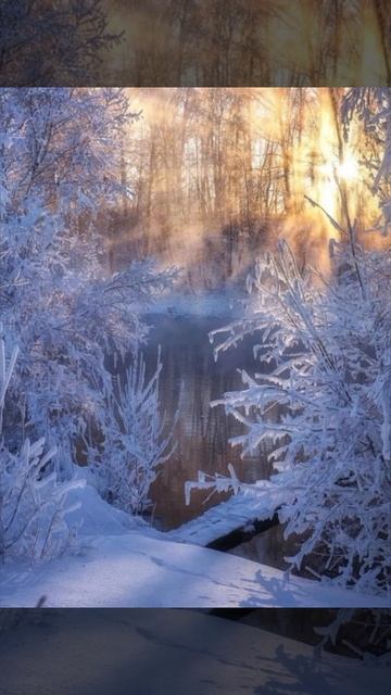 Зима смотреть онлайн