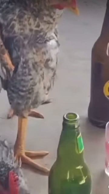 После праздников смотреть онлайн