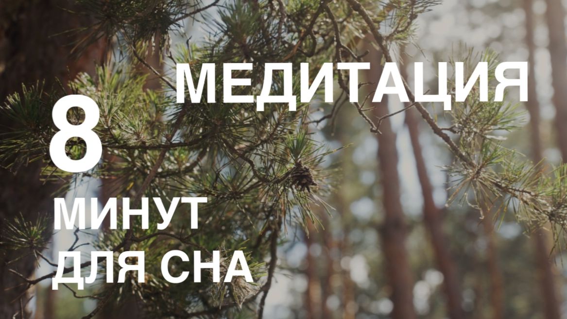 8-минутная прогулка в лес | Медитация для мгновенного расслабления