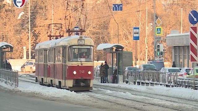 Жители Свердловской области смогут заготовить новогоднюю ель с 16 декабря смотреть онлайн