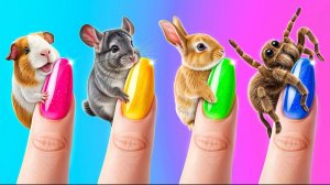 Мы построили  домики для животных!