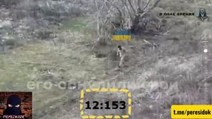 Его обнулили свои