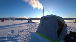 Рипус на инголе  Поклевки крупным планом !